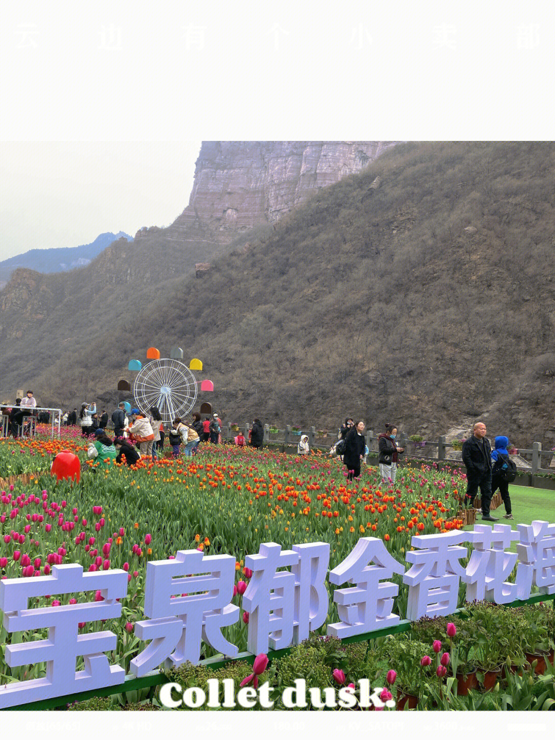 阳高云门花海网红桥图片