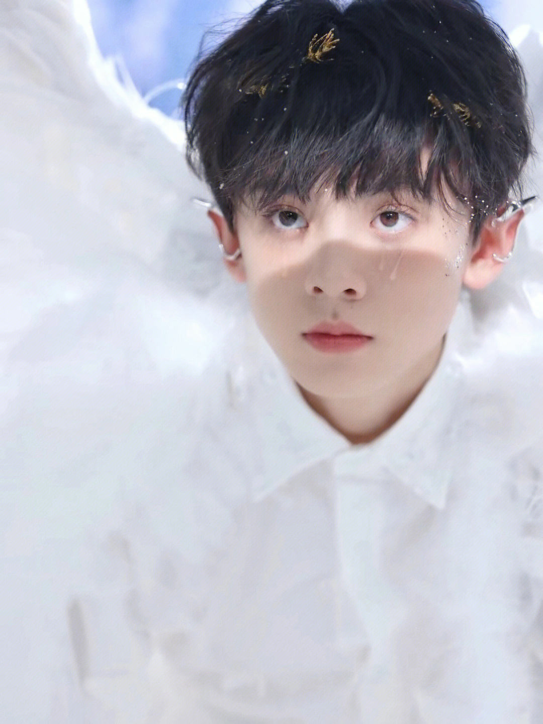 高清壁纸#左航#tf家族三代