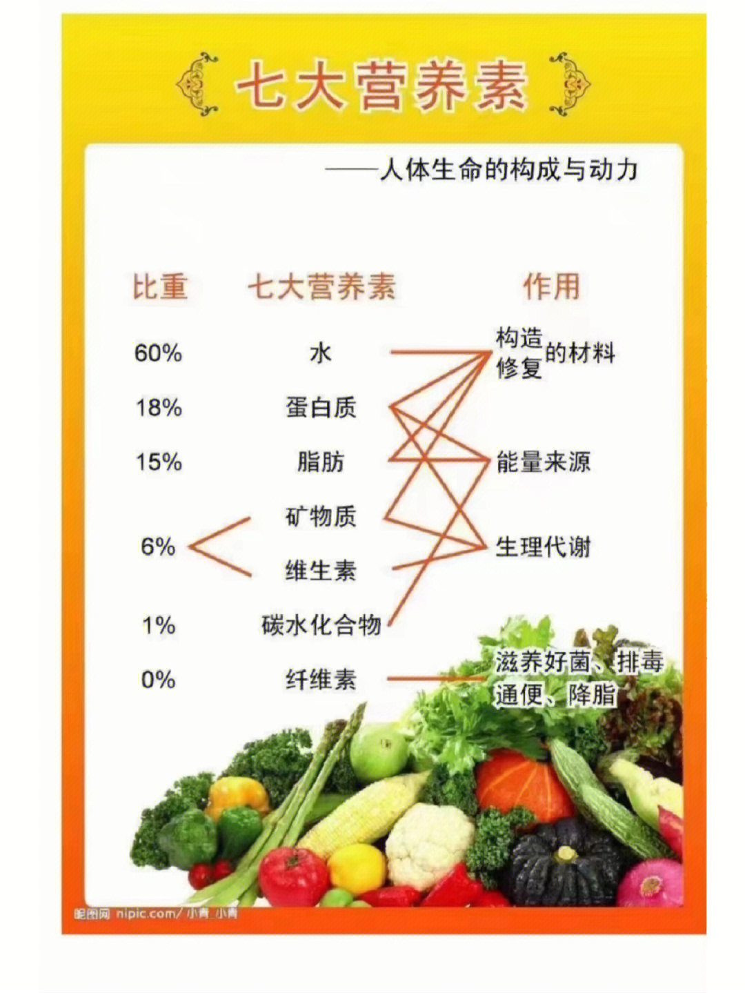 六大营养素的思维导图图片