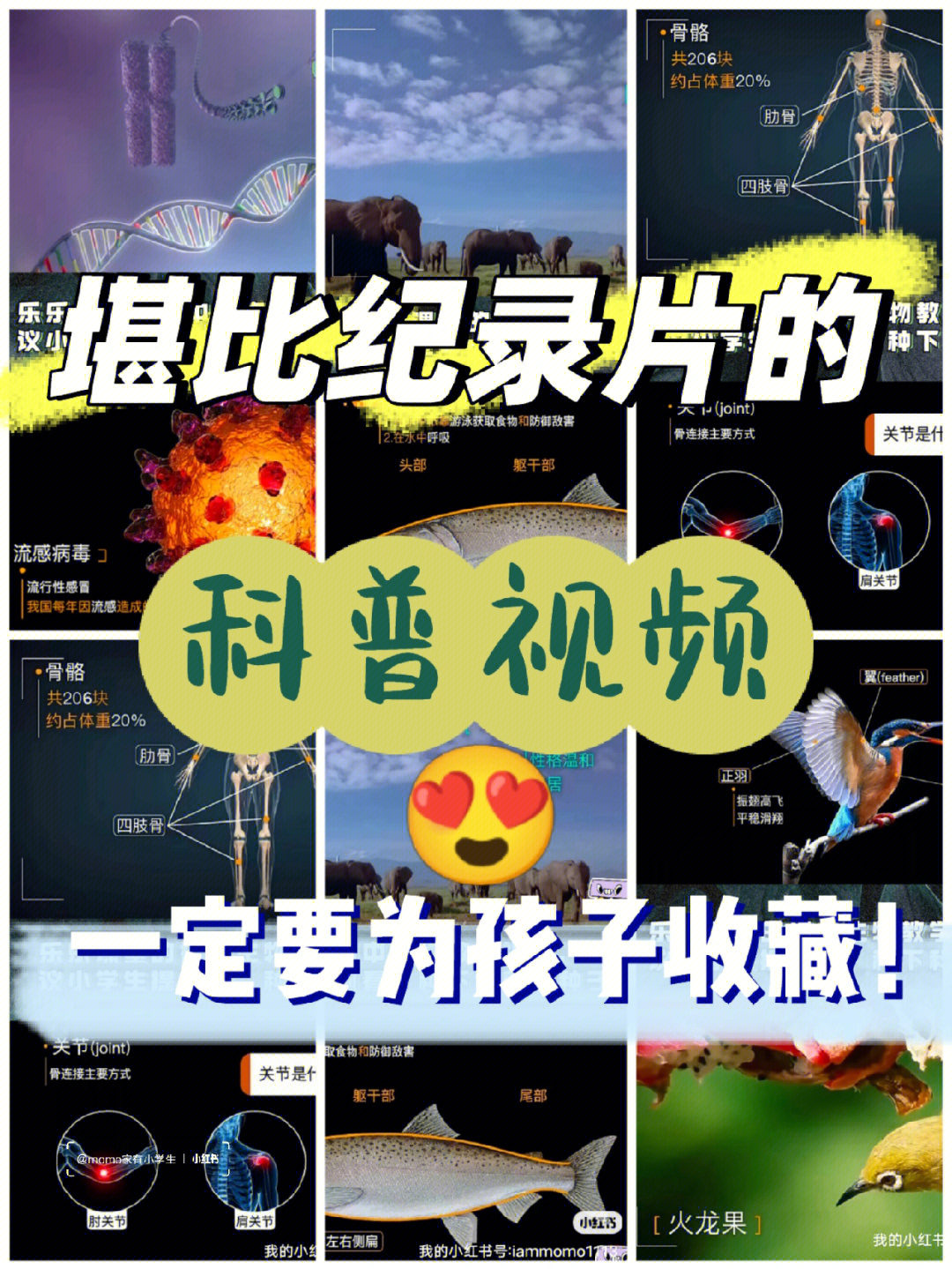 小学生科普电影大全图片