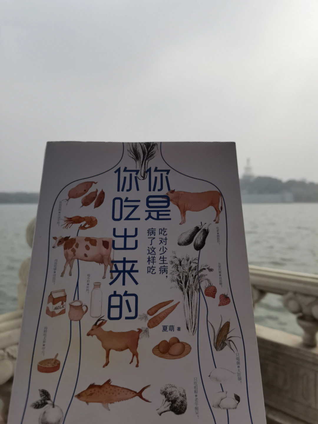 粉笔夏萌图片