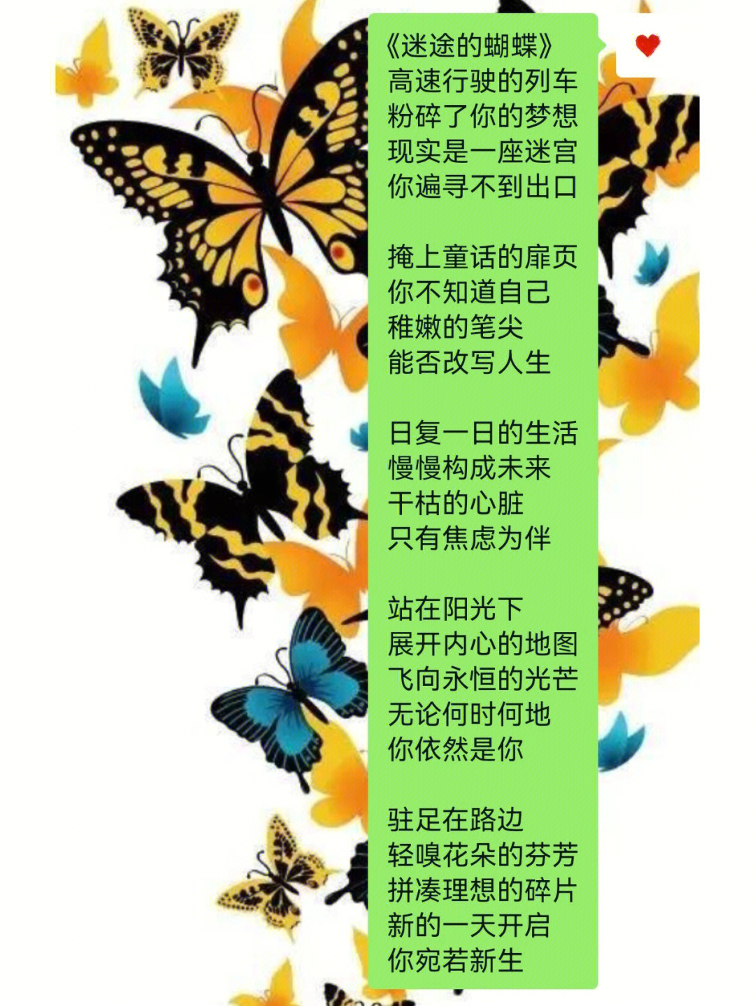 描写蝴蝶的诗句图片