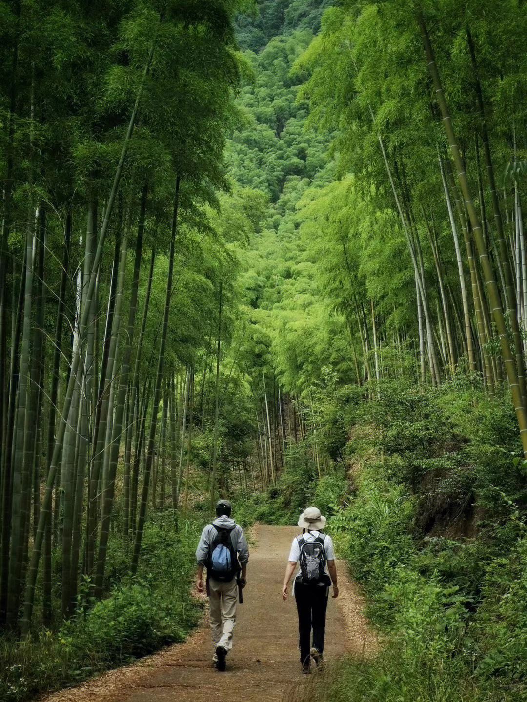 淅江安吉图片