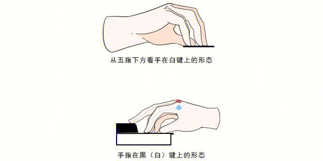 钢琴入门指法教程收藏