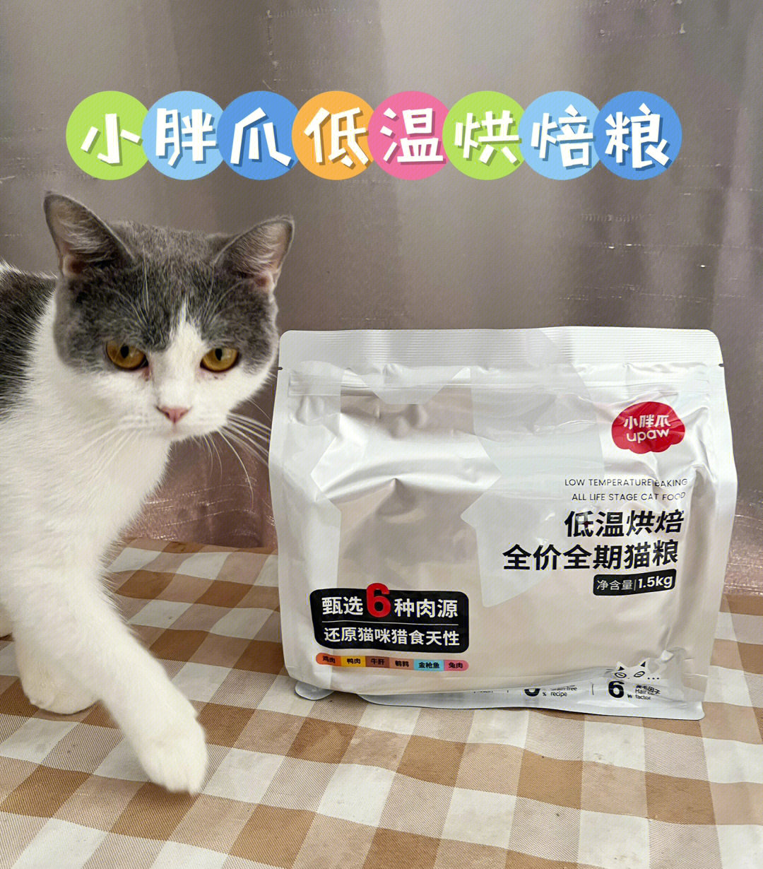 这款猫粮真的太牛了我不想换猫粮了