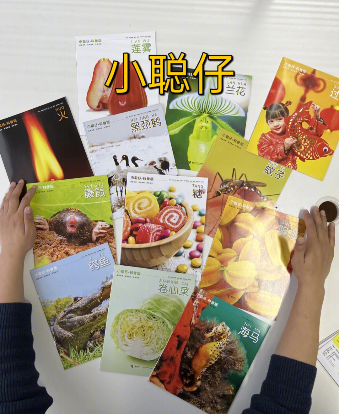 万众期待的小聪仔过刊77新刊