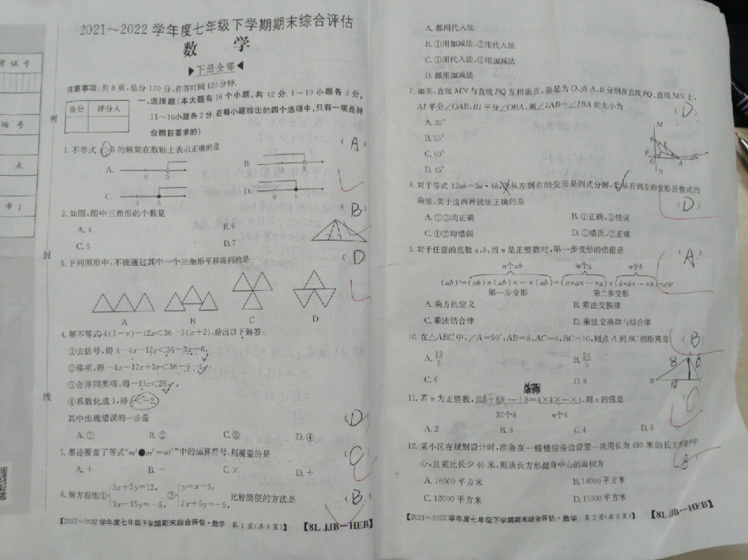 七下期末河北金太阳数学卷