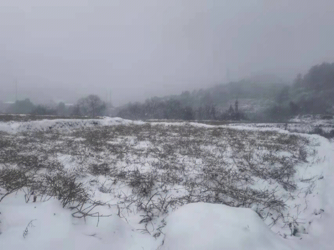 芒市苤菜坝下雪图片