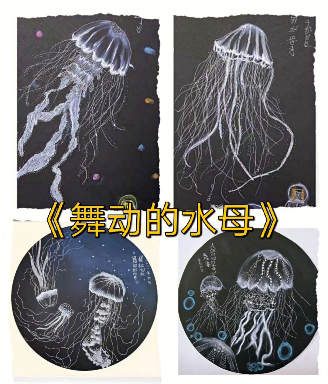 美丽的水母美术教案图片