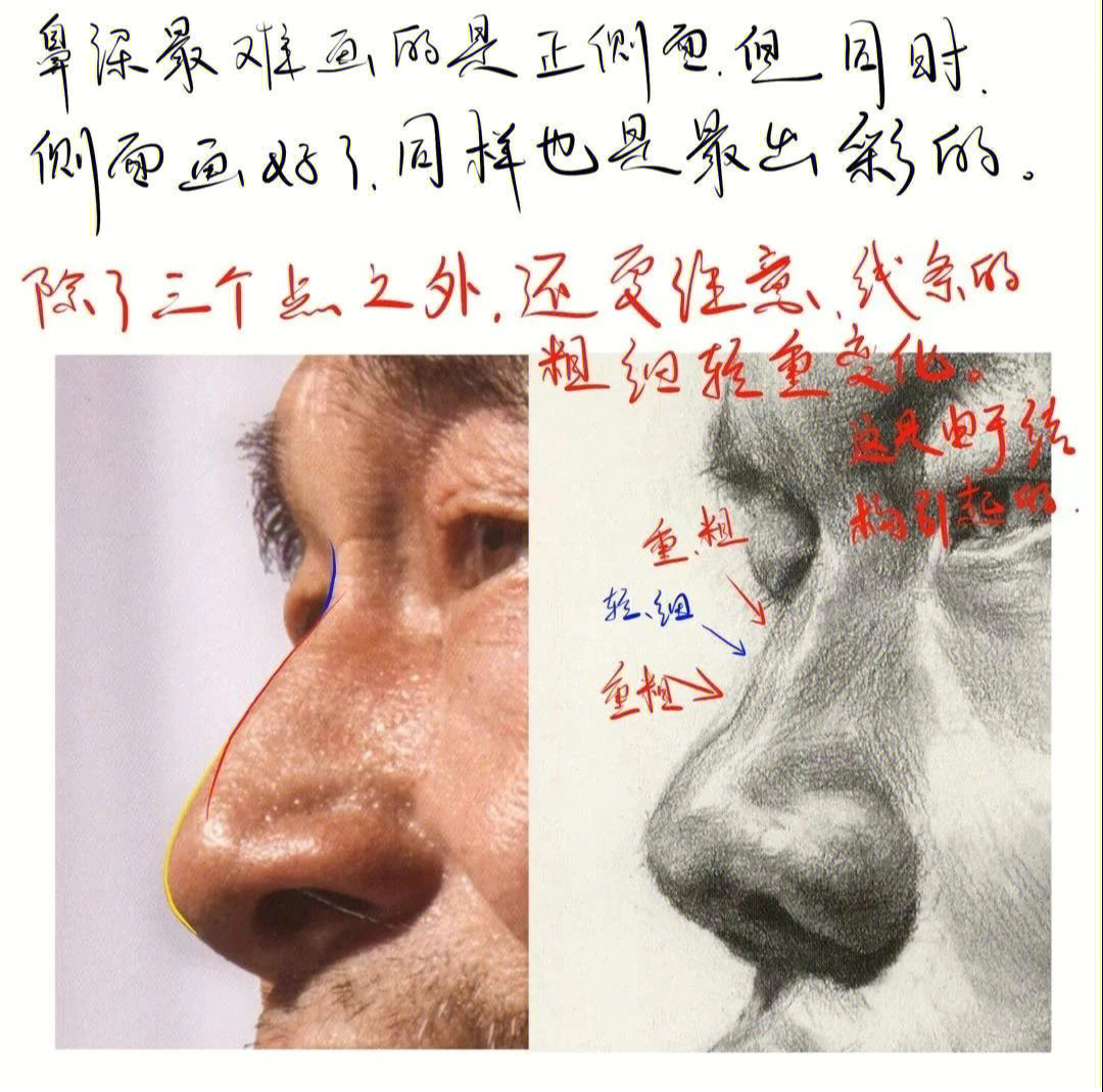 素描鼻子全面解析特征年龄各角度画法