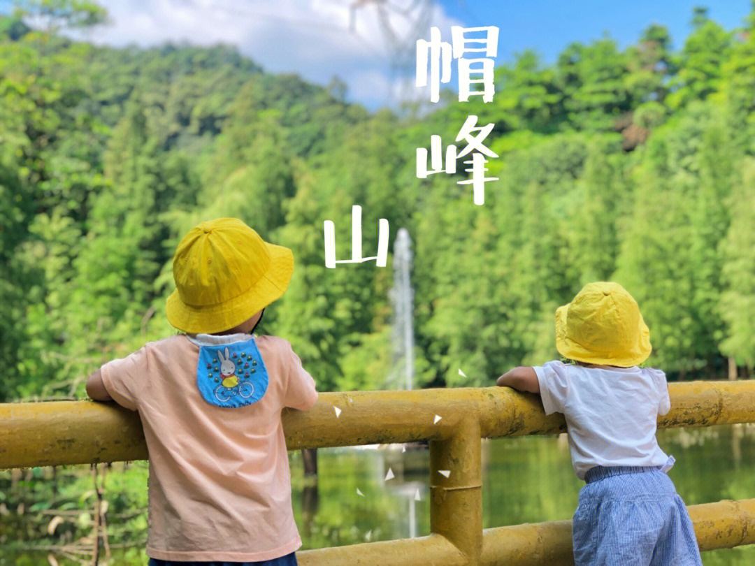 广州亲子游|地胆帽峰山森林公园带娃攻略