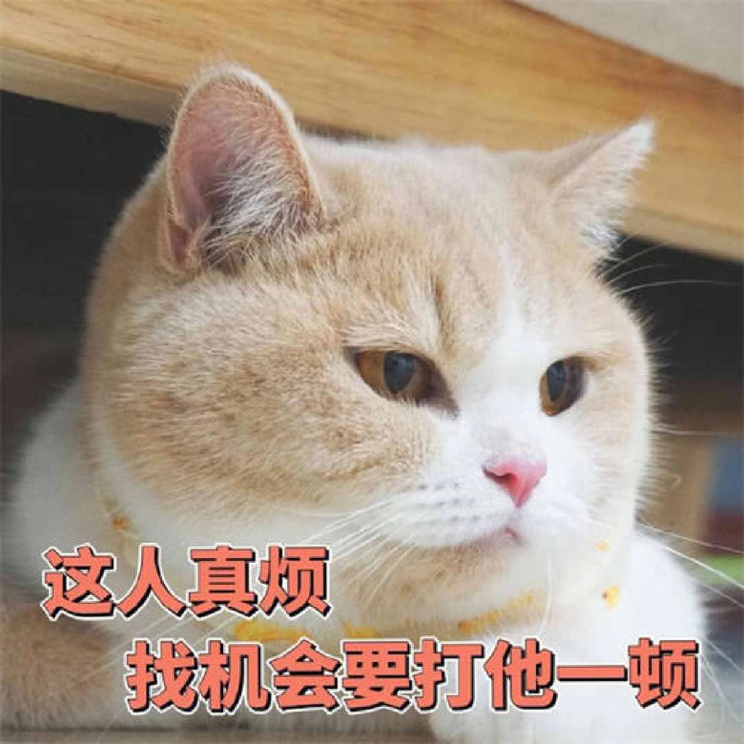 上班真特么烦