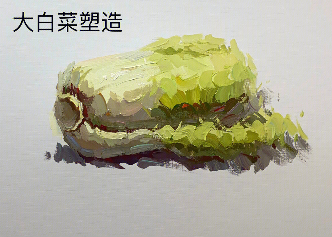 静物水粉大白菜的画法图片