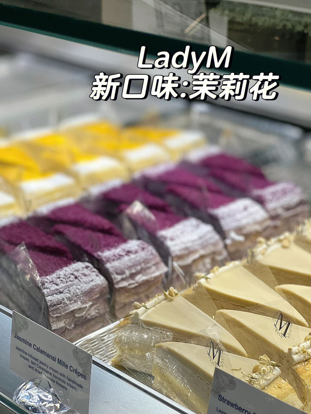 ladym新口味jasmine