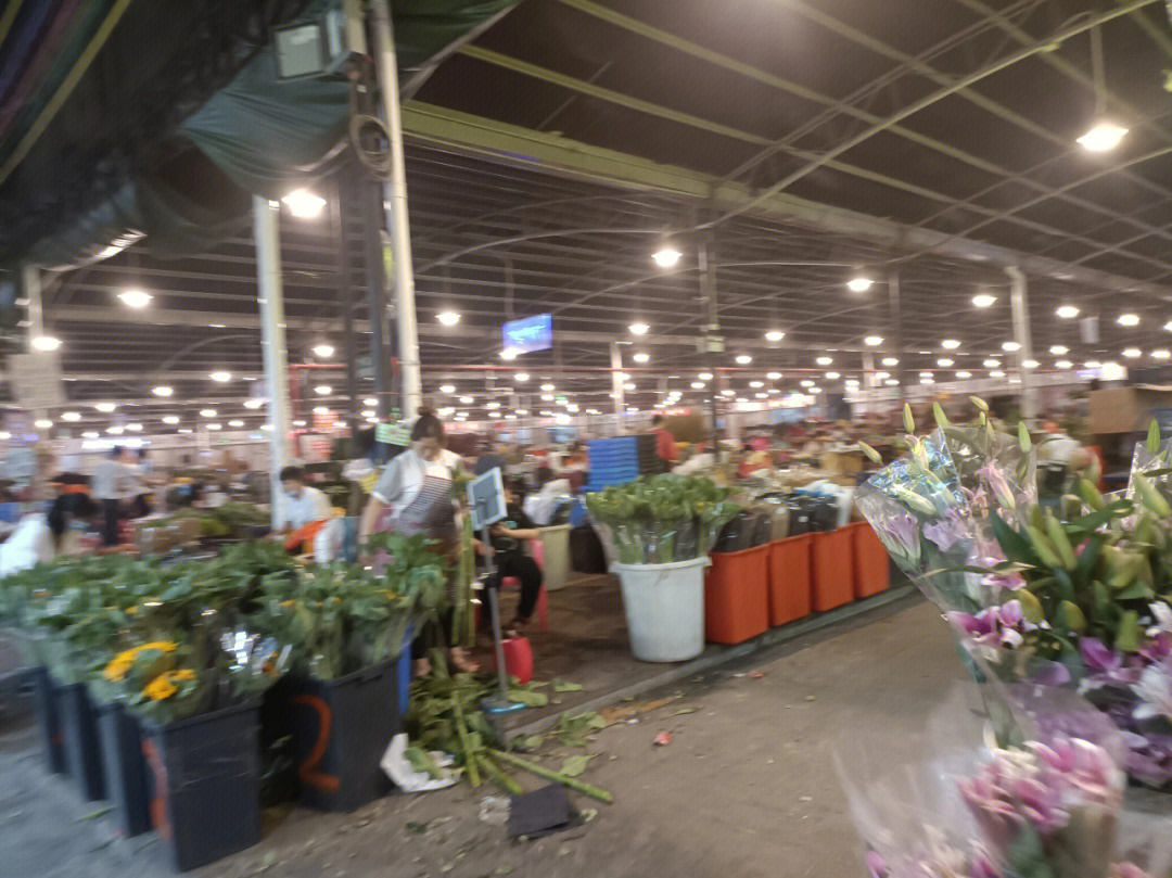 龙溪大道花卉市场图片