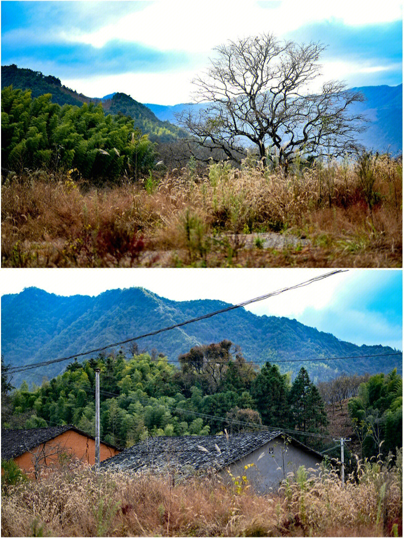 婺城区大岭村图片