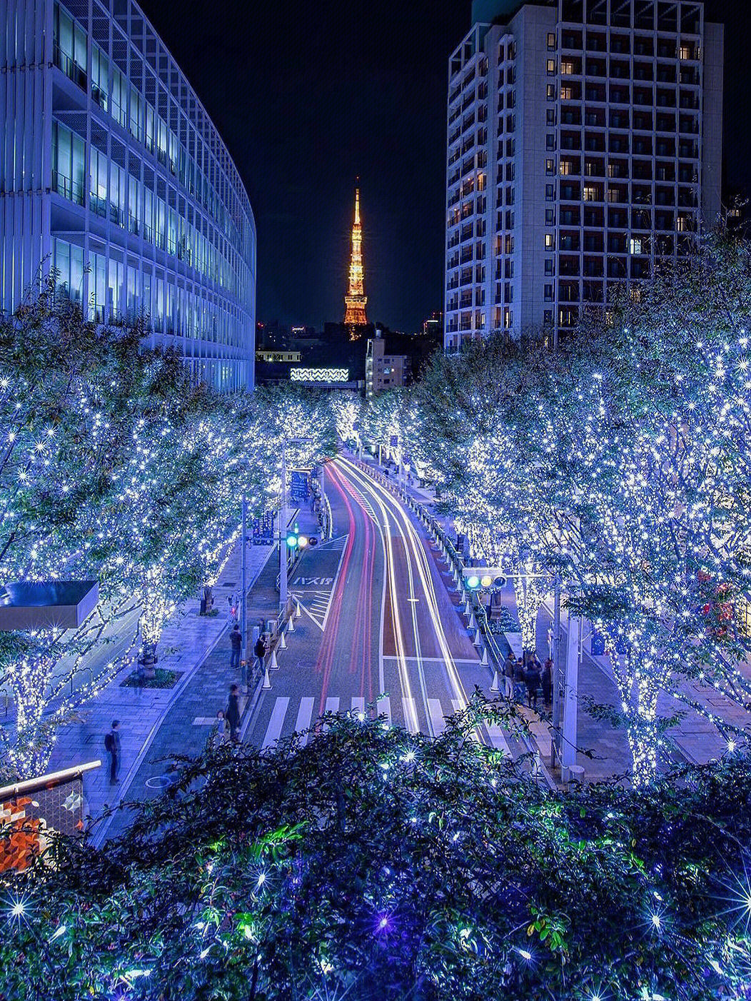 六本木夜景图片