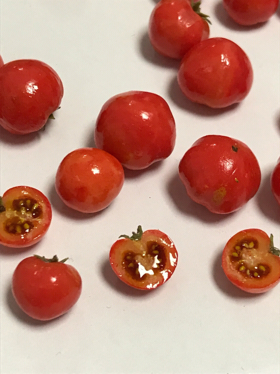 粘土西红柿番茄