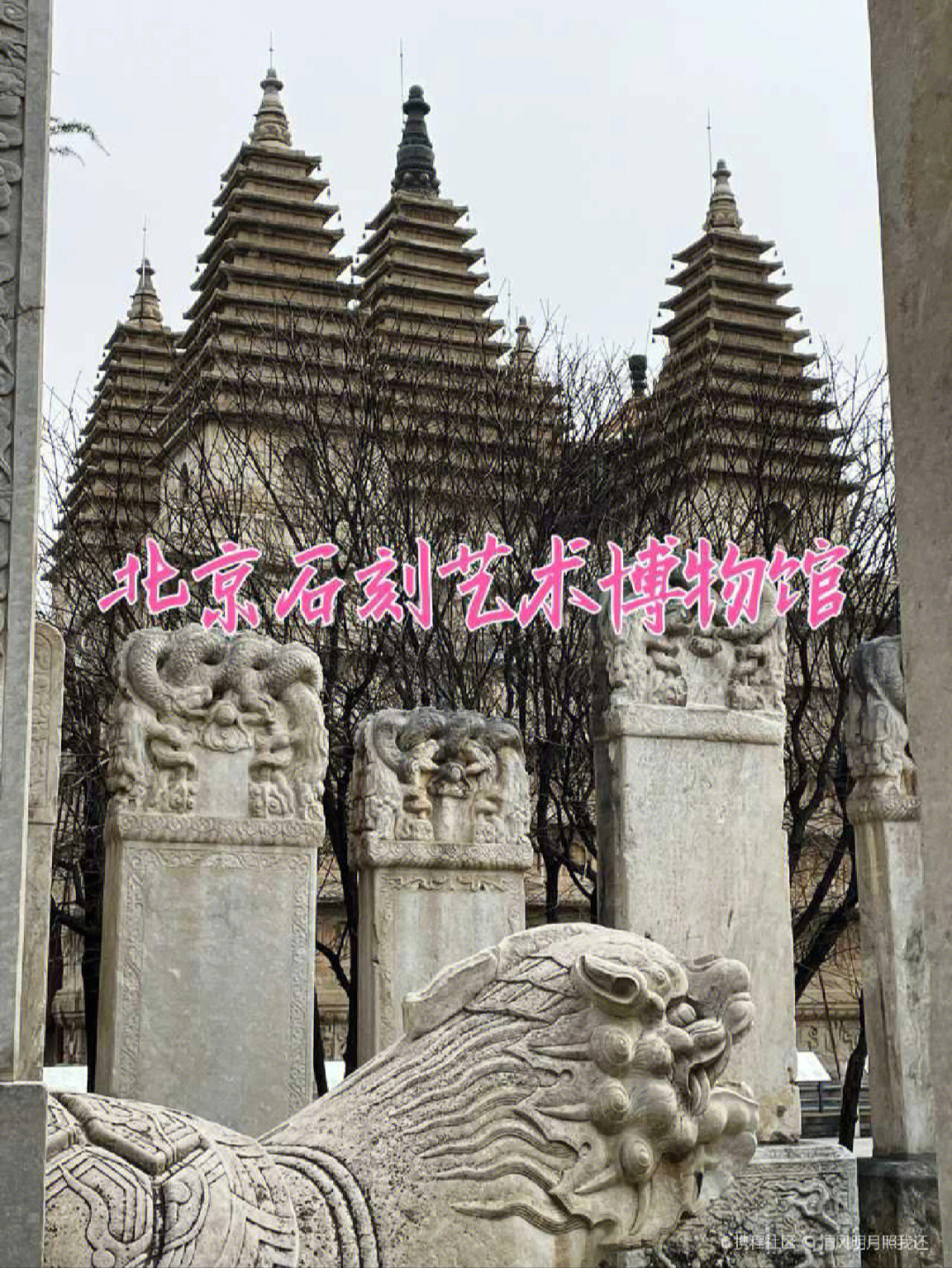 石刻艺术博物馆就位于北京动物园北侧的五塔寺内,至今已有500多年的