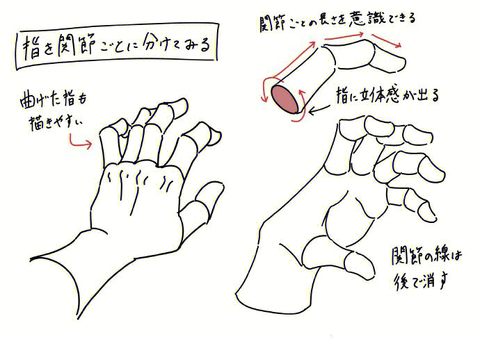 手指的画法和比例关系