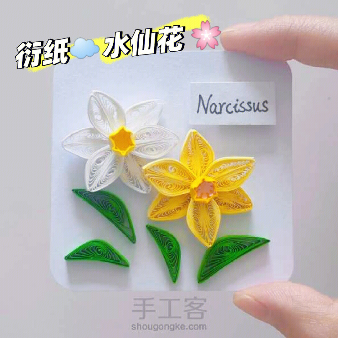 衍纸78手作水仙花narcissus