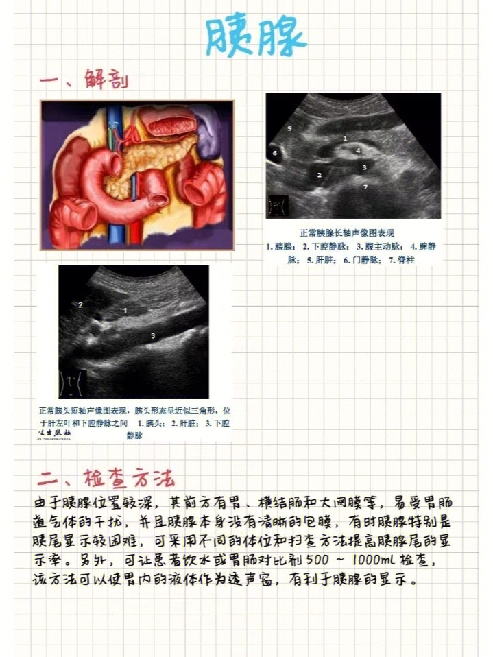 胰腺超声手法及图解图片