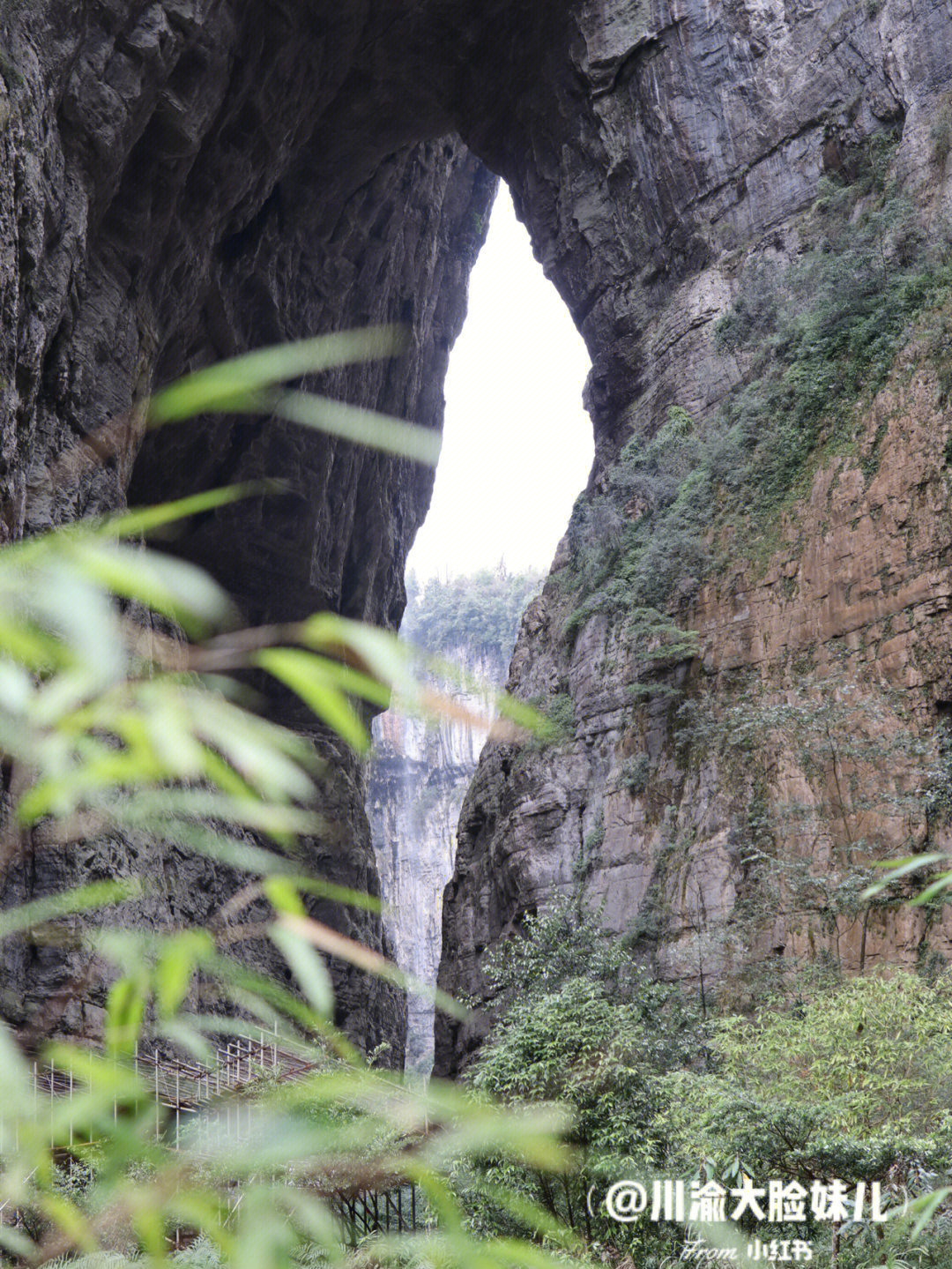 武隆区简介图片