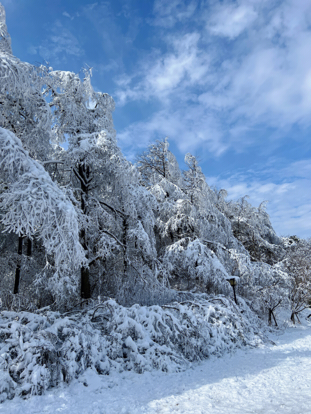 余姚四明山看雪图片