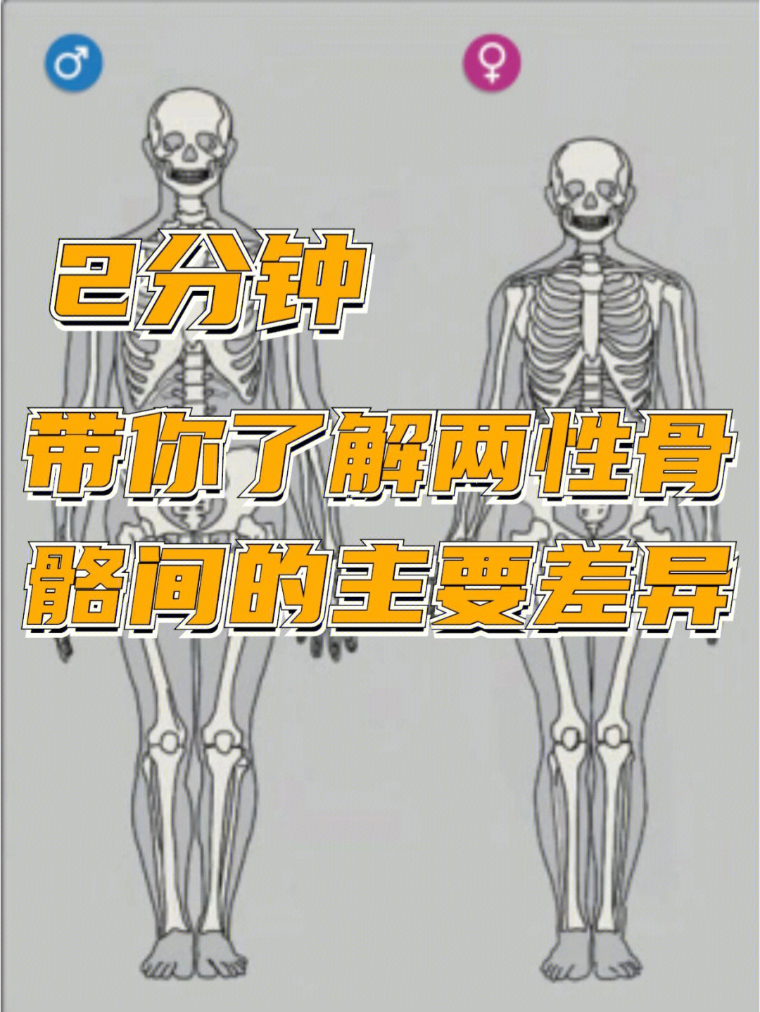 单骨和双骨怎么区分图片