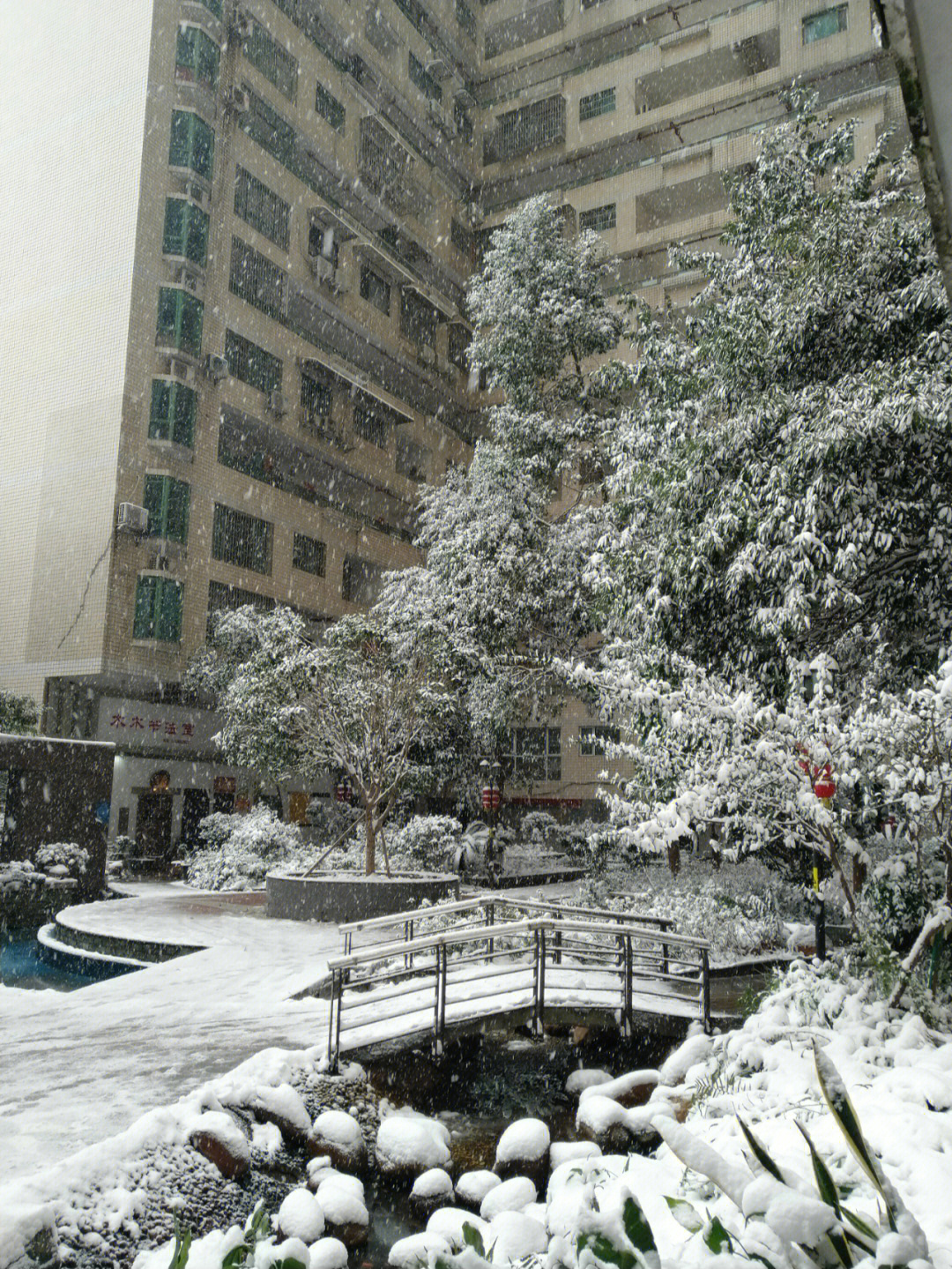 我记得这么大的雪,还是在我上小学的时候,和哥哥在长城宾馆前面照了相