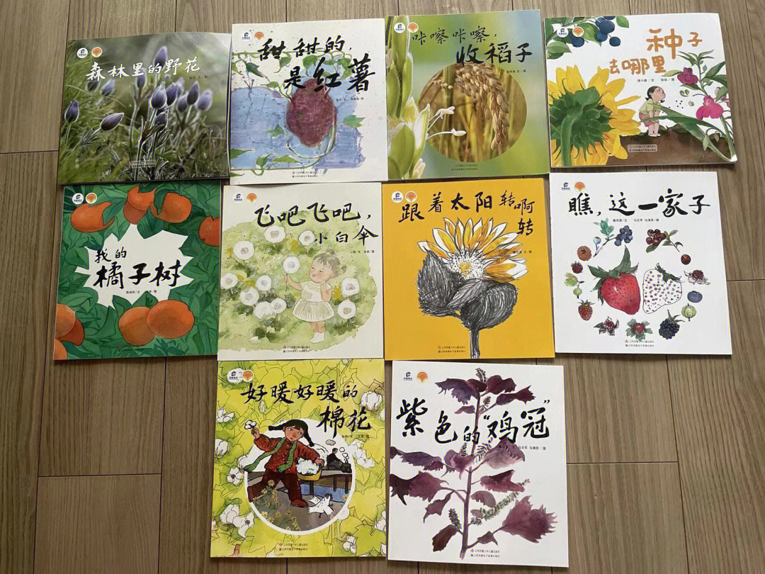 植物绘本作品图片大全图片