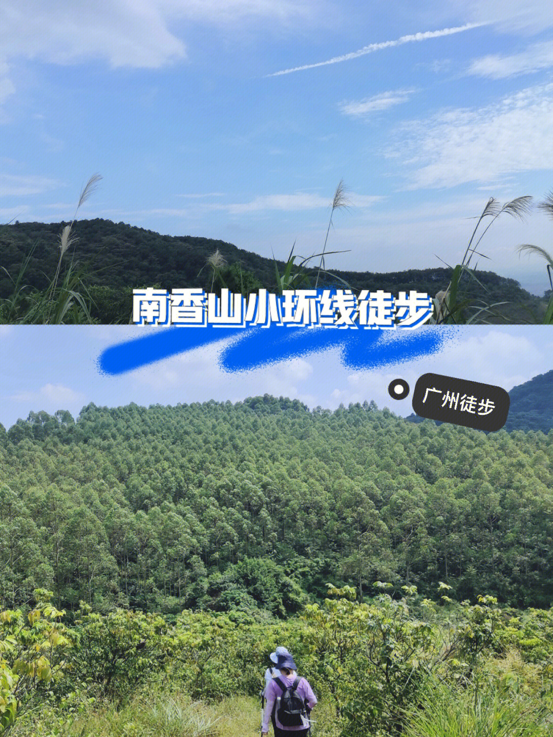 南香山森林公园在哪里图片