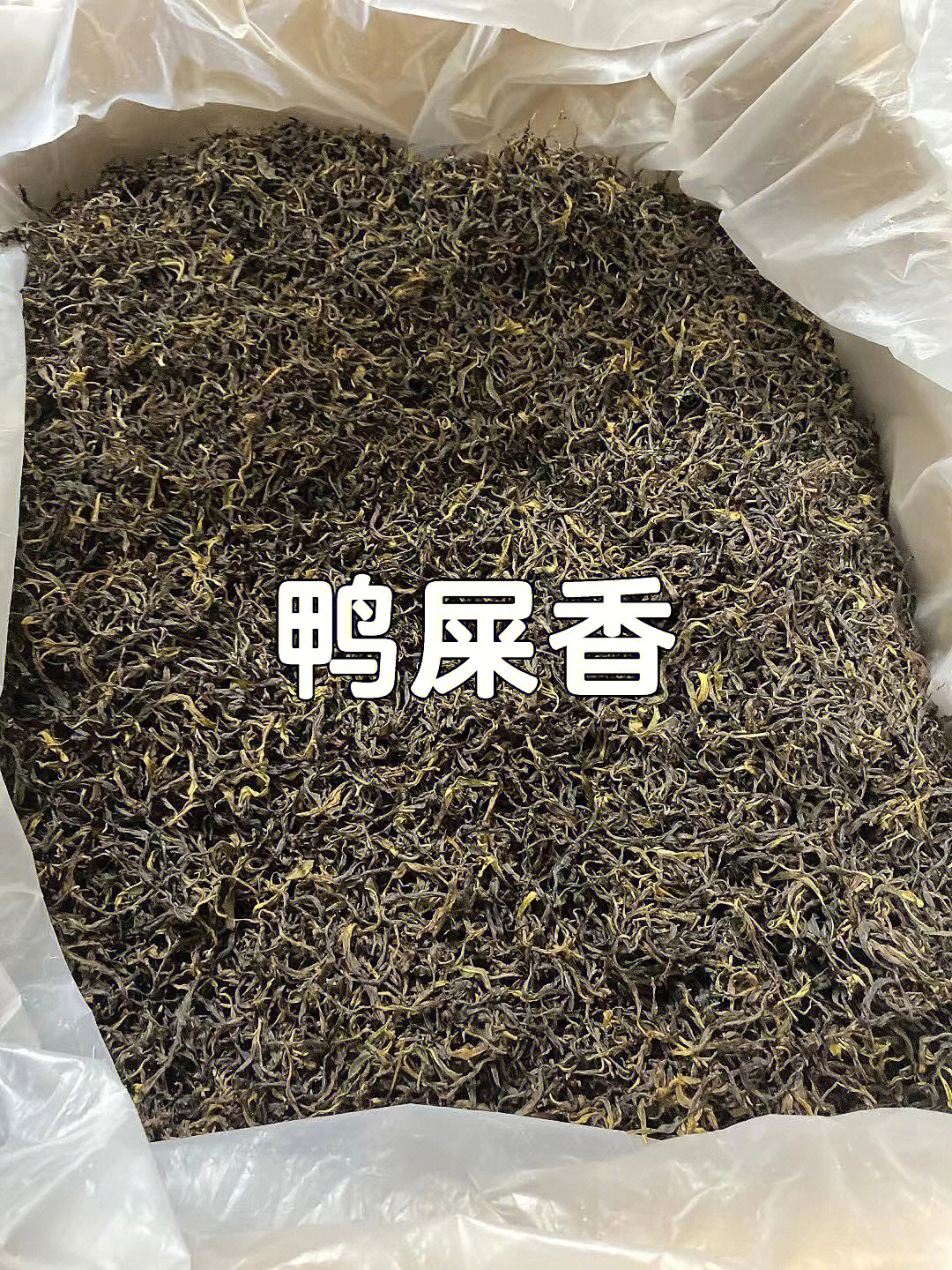 猫屎茶普洱茶图片