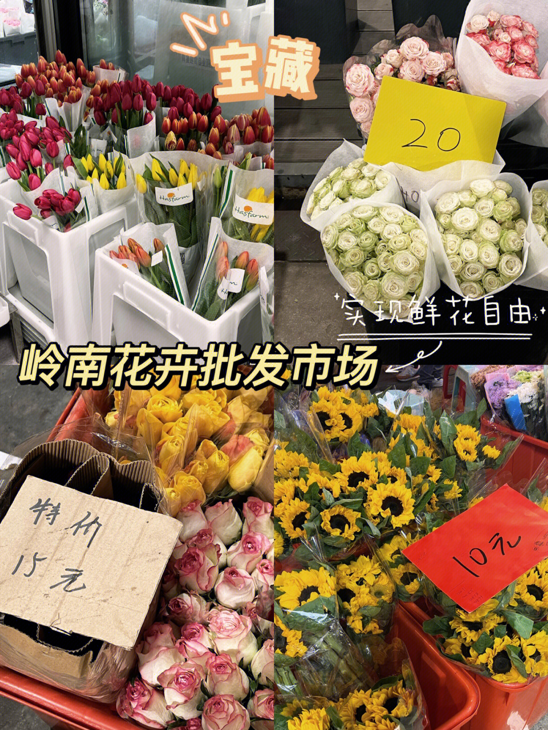 超宝藏77广州岭南花卉批发市场超平价60