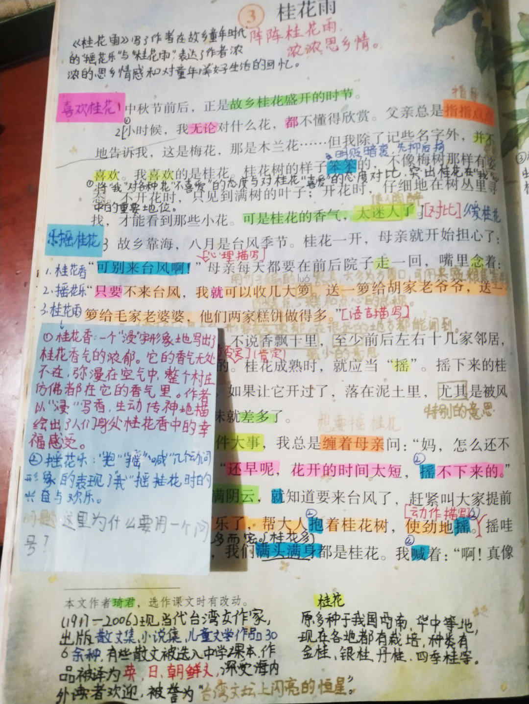 给个小红薯们的参考,五年级上册第三课桂花雨,字丑勿喷哦!