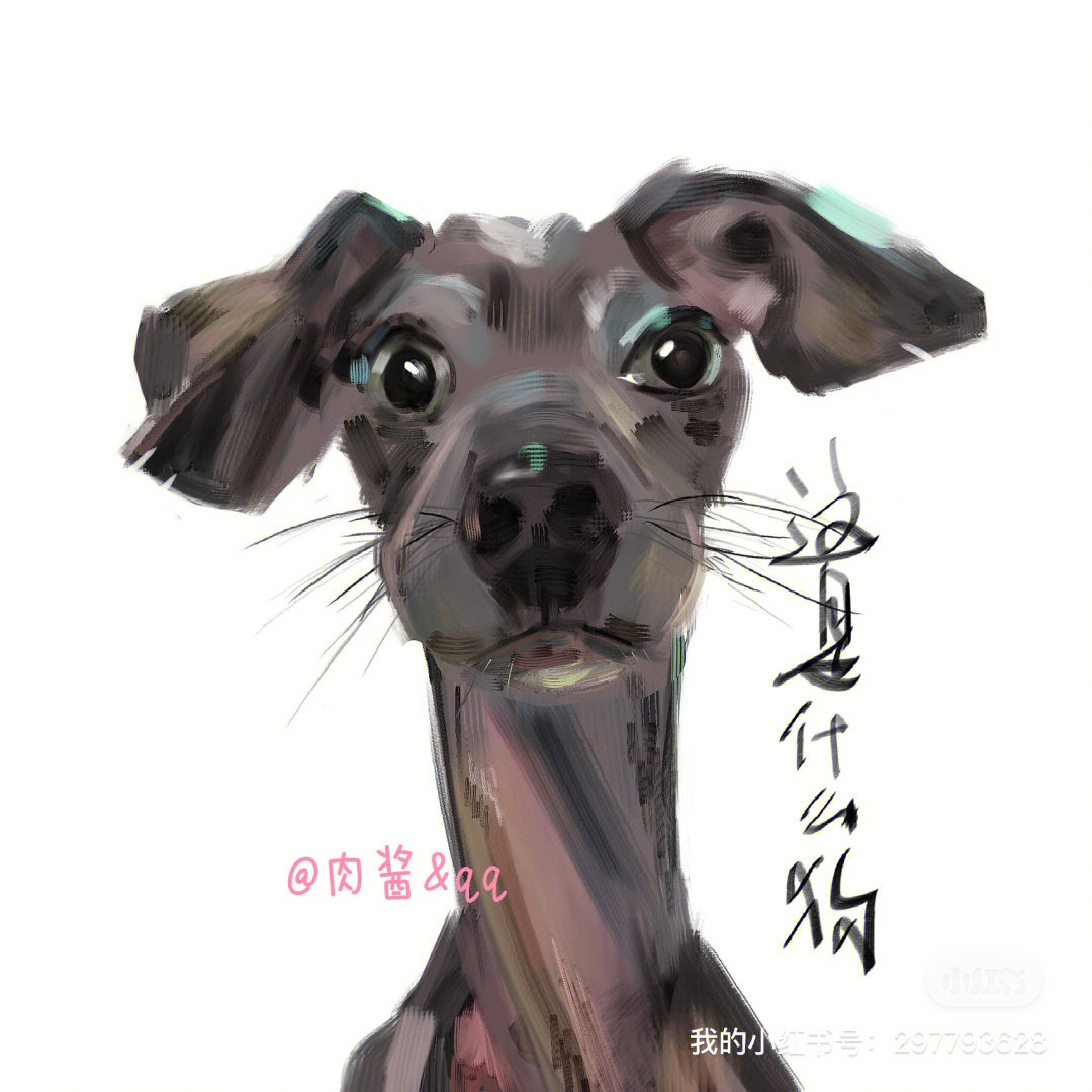 灵缇犬头像图片