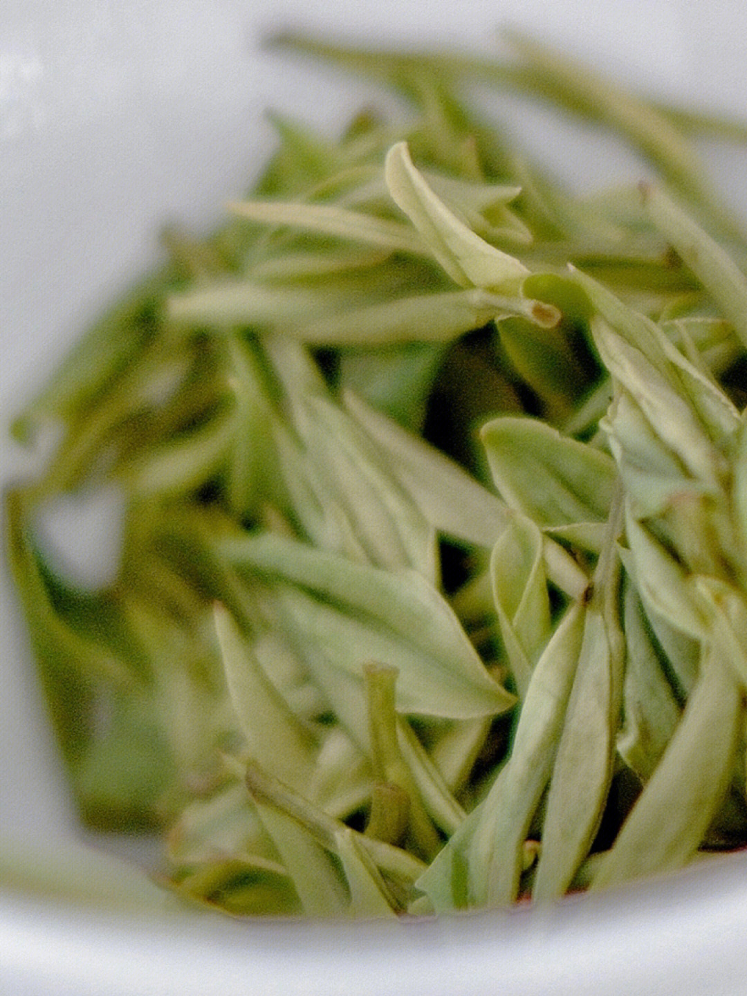 合肥蜀山区新茶图片