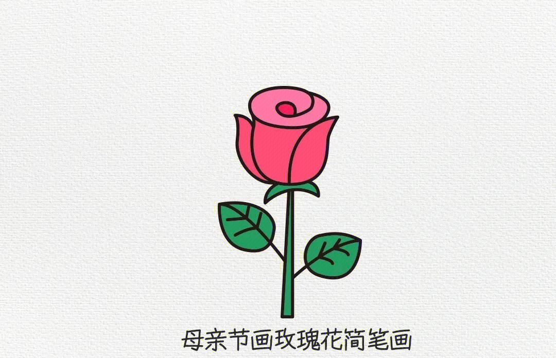 玫瑰花树 简笔画图片