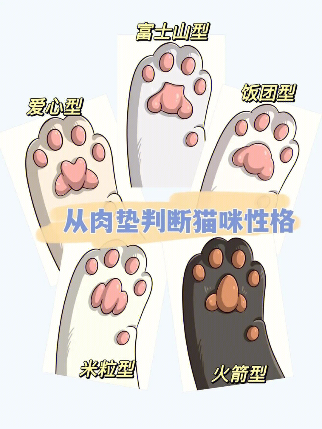 猫脚垫看性格图片