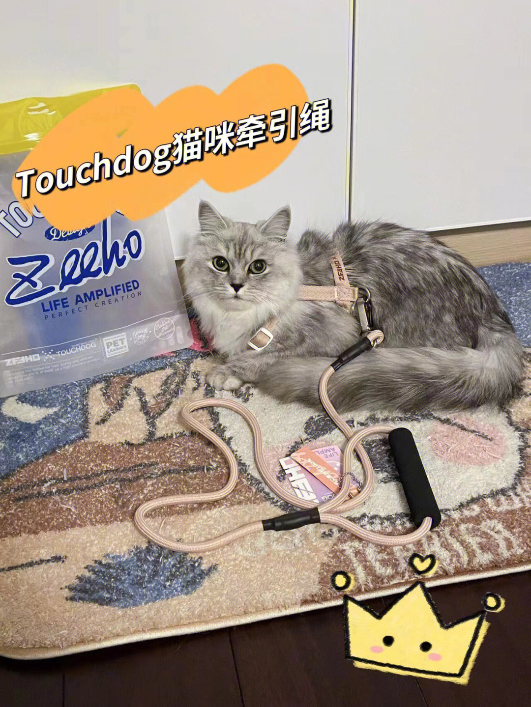 touchdog猫咪牵引绳怎么这么好看!
