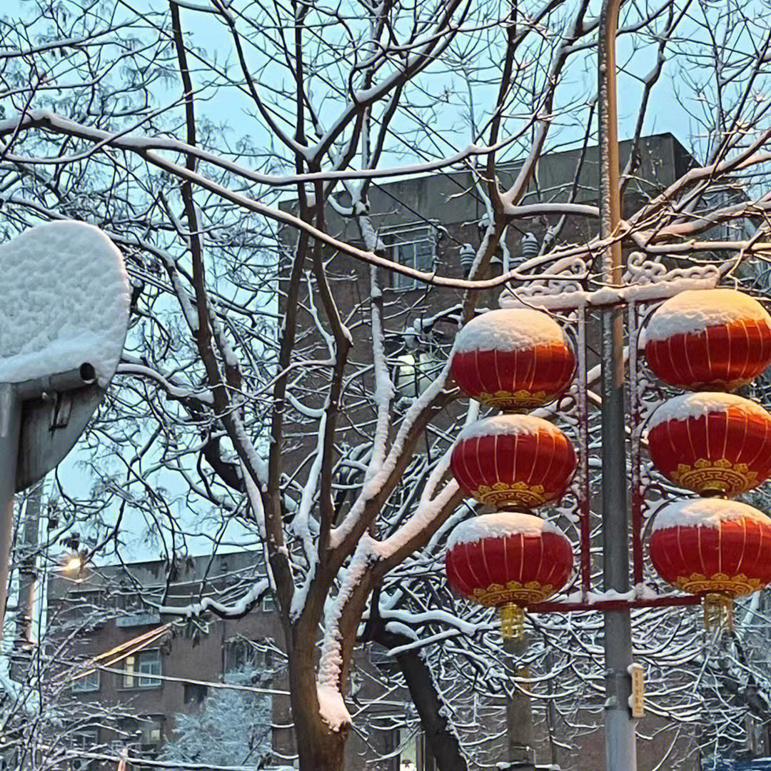 北京今天下雪了吗图片