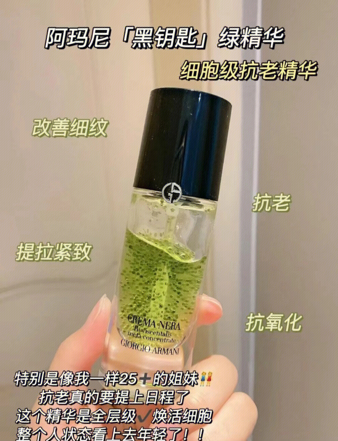 阿玛尼南非凤凰草图片