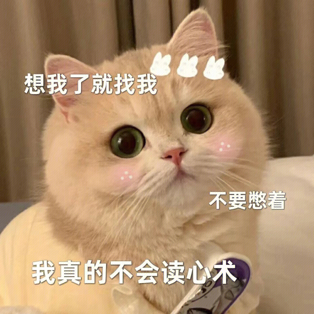 可爱猫咪情侣表情包