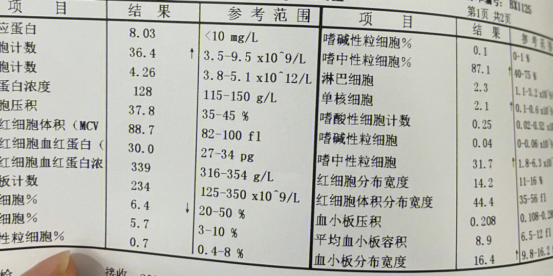 五疗day7白细胞36