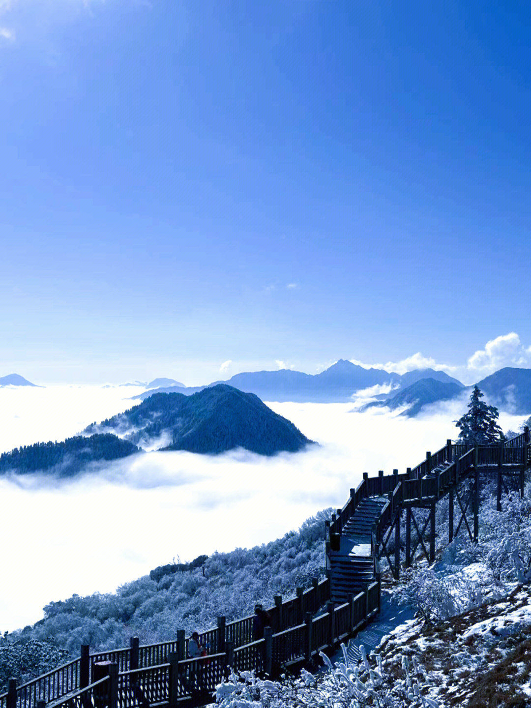 你觉得西岭雪山值不值