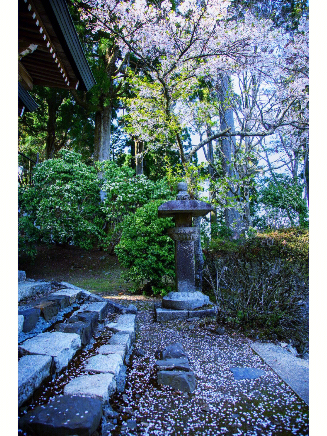 日本京都比睿山延历寺千座佛教寺庙270