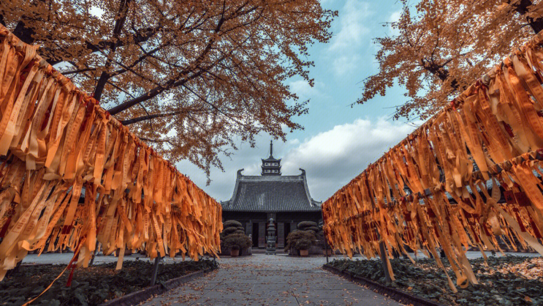 云居山真如禅寺银杏树图片