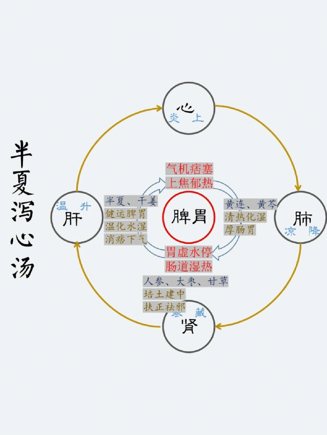 半夏泻心汤