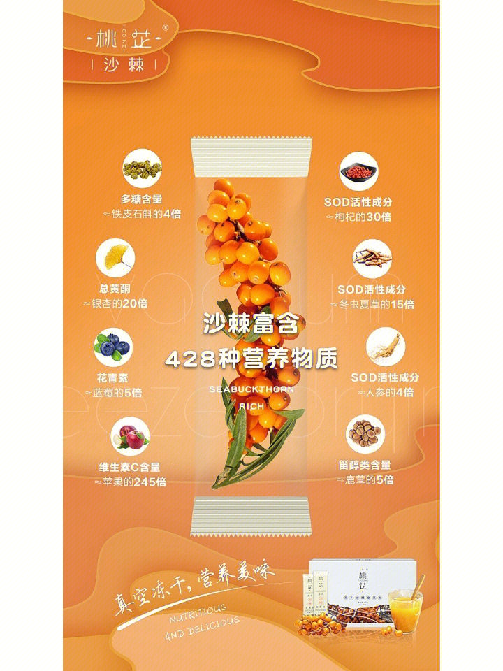 沙棘果的食用方法图片