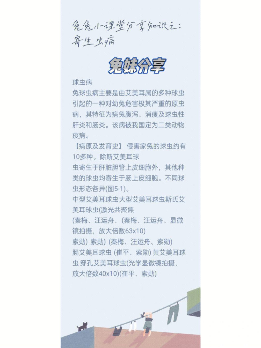 兔子寄生虫传染给人图片